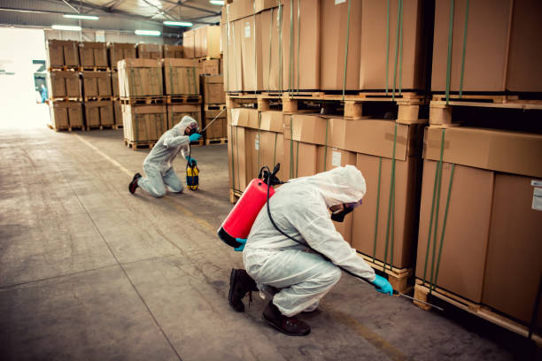 Best Emergency Pest Control  in Pasadena, CA