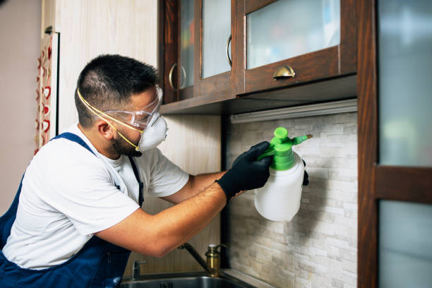 Best Exterminator Services  in Pasadena, CA