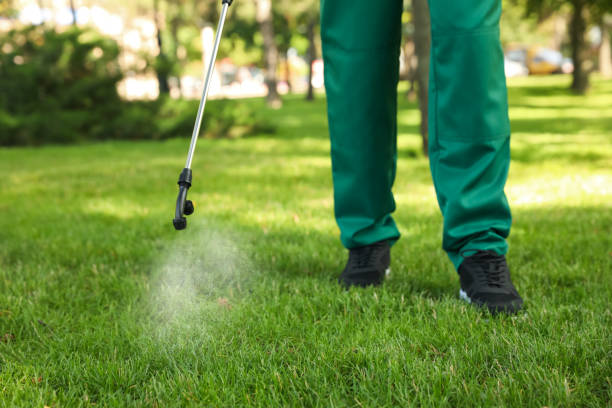 Best Commercial Pest Control Services  in Pasadena, CA