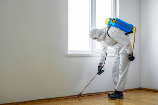 Best Cockroach Control Services  in Pasadena, CA