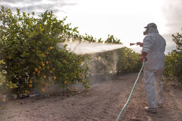 Best Emergency Pest Control  in Pasadena, CA