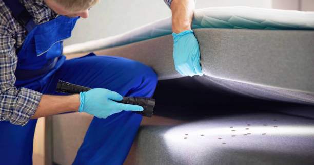 Best Bed Bug Extermination  in Pasadena, CA