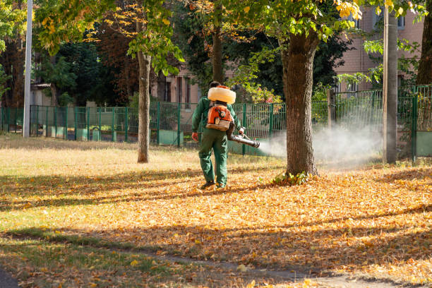 Best Bed Bug Extermination  in Pasadena, CA