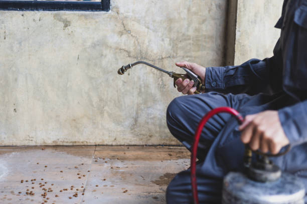 Best Exterminator Services  in Pasadena, CA